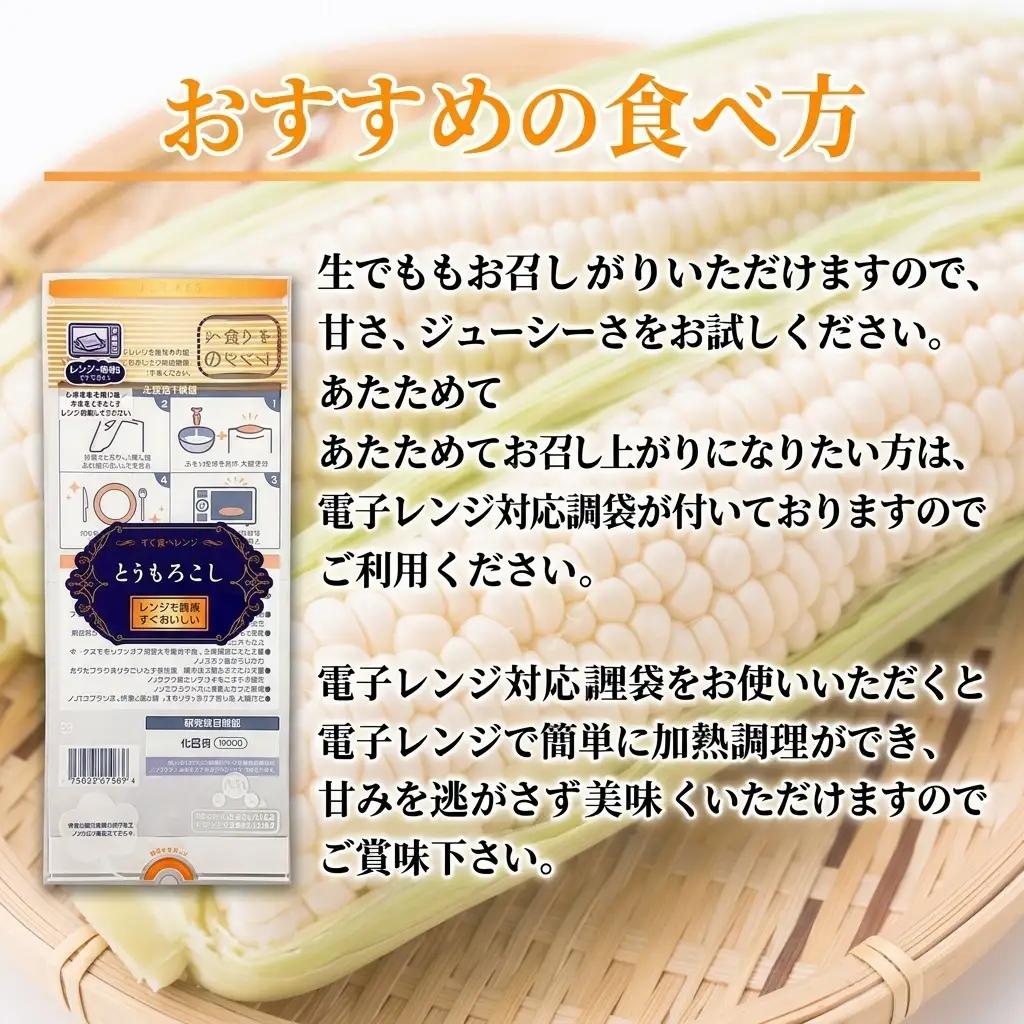 とうもろこし 富良野産 ホワイトコーン【8〜9本 計2.8kg以上】【先行予約】