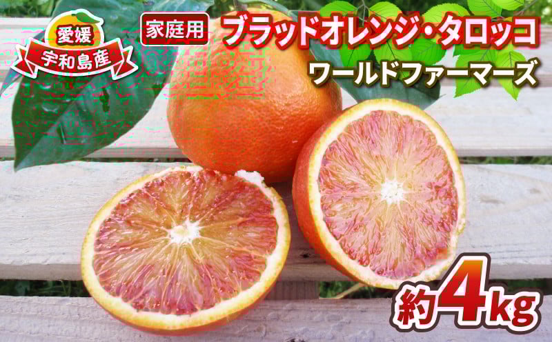 
            ブラッドオレンジ タロッコ 家庭用 4kg 愛媛みかん ワールドファーマーズ 人気みかん 先行予約 ブラッド オレンジ ブラッドオレンジタロッコ 愛媛ミカン 愛媛蜜柑 蜜柑 みかん mikan 果物 くだもの フルーツ 柑橘 数量限定 産地直送 国産 愛媛 宇和島 B012-024012
          