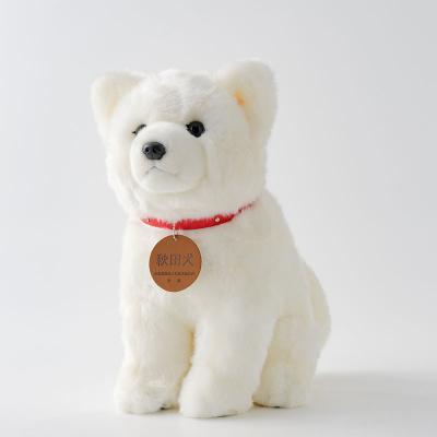 ふるさと納税 大館市 秋田犬白毛(鼻黒)ぬいぐるみ　座りLサイズ |  | 01