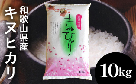 和歌山県産キヌヒカリ 10kg(2025年産) ｜米 コメ こめ 和歌山※2025年9月中旬頃より順次発送予定
