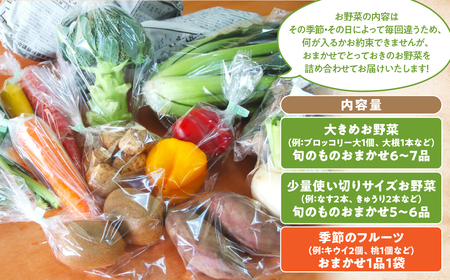 【定期便・年4回】旬のお野菜がどっさり！甲斐路の大満足お野菜セット