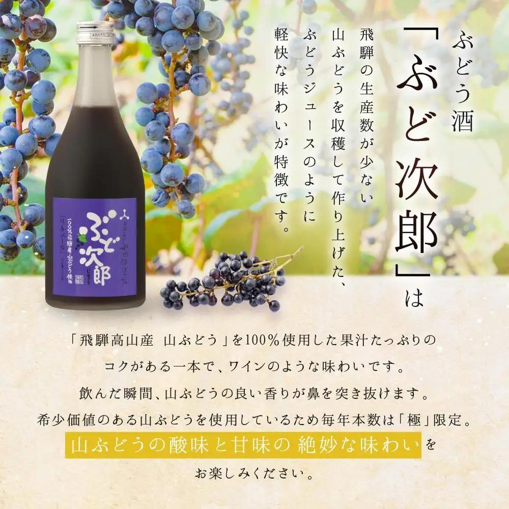 気分で選べる果実のごほうび 4種のフルーツリキュールセット | リキュール 果実酒 柑橘 梅 柚子 ぶどう FB065