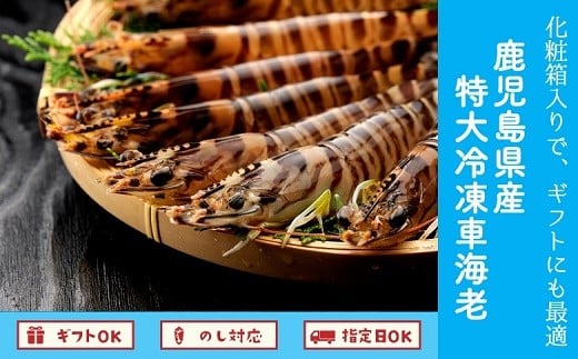 
            016-03 鹿児島県産特大冷凍車海老300g
          