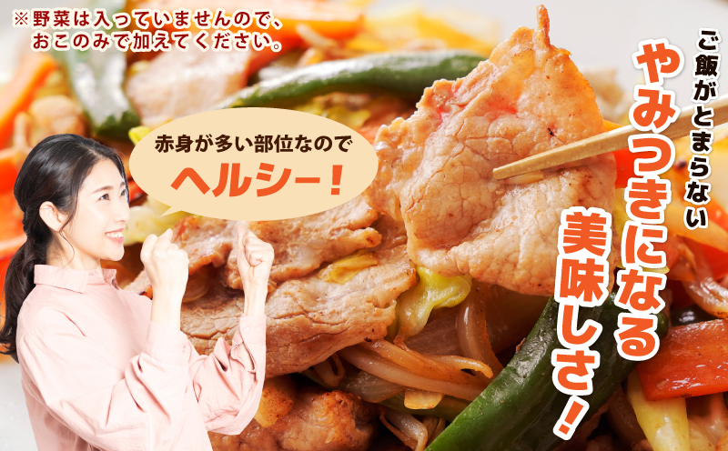 国産 豚スライス(豚もも) タレ漬 1kg(250g×4パック) 小分け 時短 焼くだけ 簡単 099H3374_イメージ4