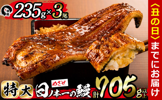 【丑の日までに配送】日ノ本一の鰻の蒲焼き＜特大＞3尾セット(計705g以上) c2-009-us