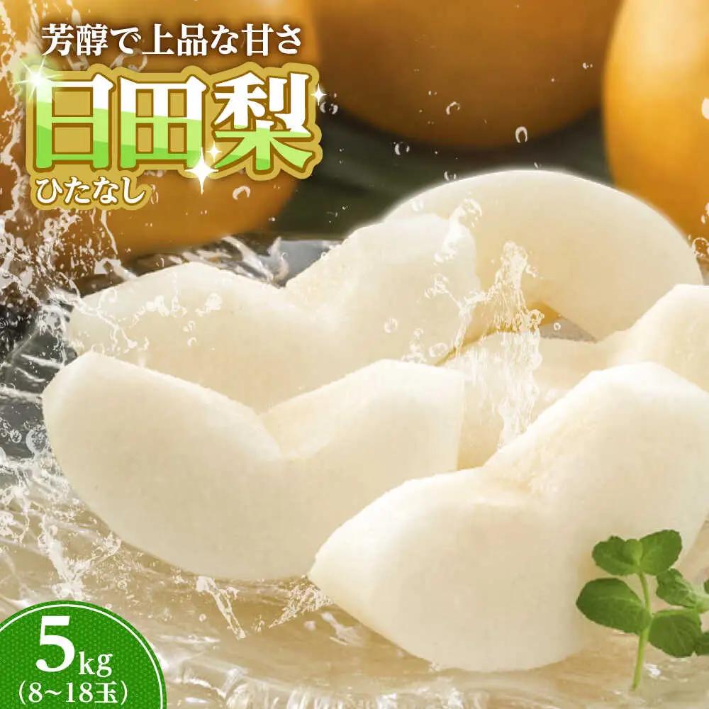 日田梨 約5kg 旬の梨 果物 [ARET008]
