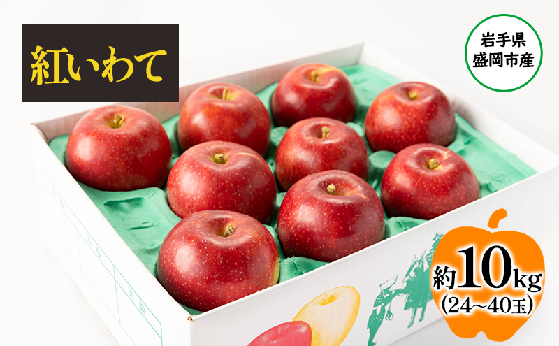 盛岡から「農で人をつなぐ」藤与果樹園：紅いわて10kg フルーツ 果物 旬のフルーツ 旬の果物 旬 冬 岩手 盛岡 産地直送 玉数指定不可 詰め合わせ 岩手 盛岡