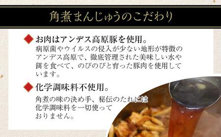【岩崎本舗】長崎角煮まんじゅう 10個（袋入） | 角煮 角煮