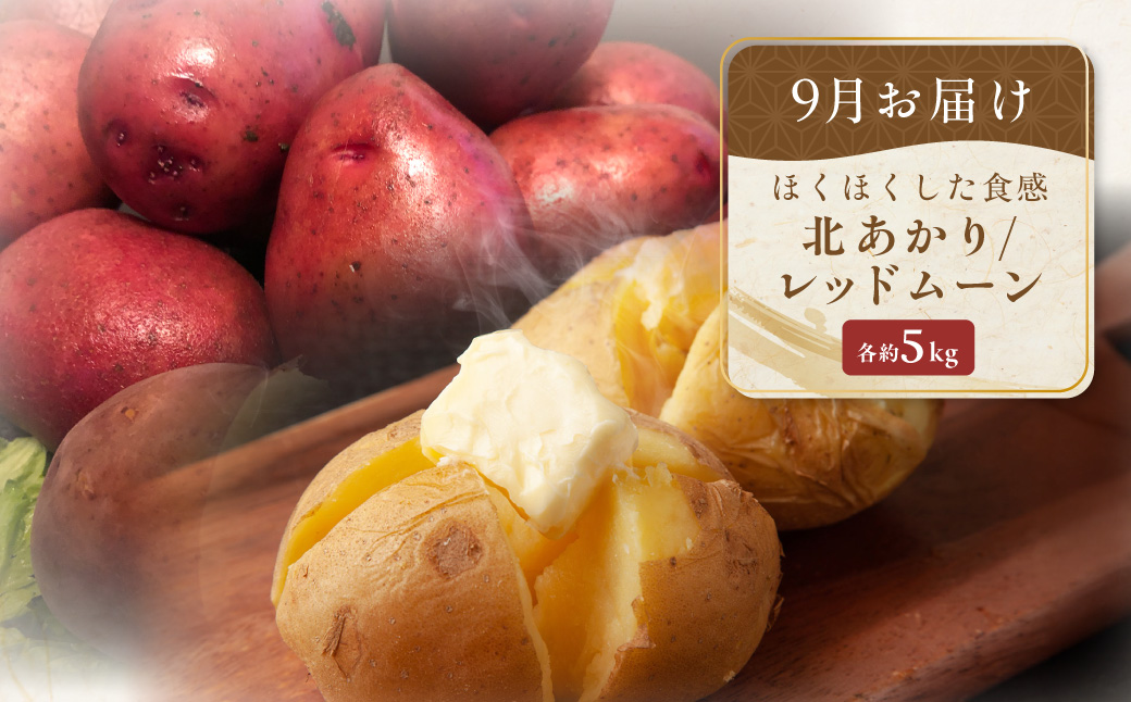 【定期便】旬の農産物定期便 年3回お届け ABAO2211