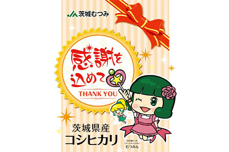 ★レビューキャンペーン開催中★令和7年産 茨城県産コシヒカリ10kg (5kg×2) ／ お米 精米 こしひかり 旨味 安心 美味しい JA茨城むつみ 茨城県 五霞町【価格改定】