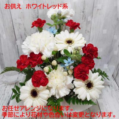 ふるさと納税 四條畷市 お任せ アレンジメント 生花 お供え用 ホワイトレッド系 |  | 03