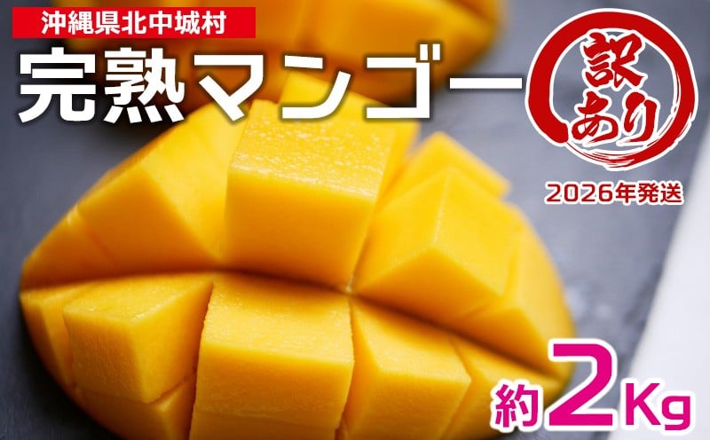 
                  【2026年発送】訳あり品！沖縄県産　完熟マンゴー　約2kg 沖縄県産 先行予約 訳あり 訳アリ フルーツ 果物 くだもの アップルマンゴー アーウィン種 冷蔵 JA 家庭用 お試し 美味しい 沖縄 生産者応援 フードロス 人気 おすすめ お取り寄せ
                