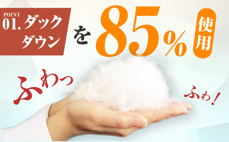 【訳あり】筑後七国羽毛ふとん シングル 羽毛1.4kg 無地アイボリー 広川町 / ヒラモリ株式会社[AFAO028]