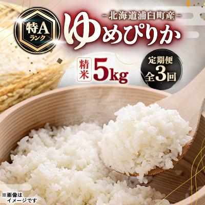 ふるさと納税 浦臼町 【毎月定期便】浦臼町産　ゆめぴりか(精米)5kg　特A　お米　全3回