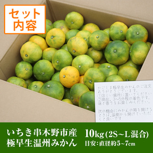 ＜先行予約・ 数量限定＞ 極早生 温州みかん 10kg 箱満杯バラ詰め！2S～Lサイズ 【B-395H】