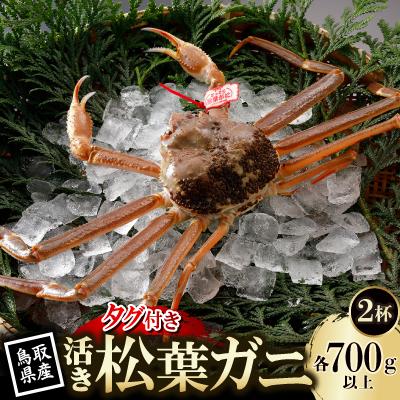 ふるさと納税 智頭町 【先行予約】鳥取県産 タグ付き 活 松葉がに 700g×2杯(中村商店)26年12月・27年1月発送