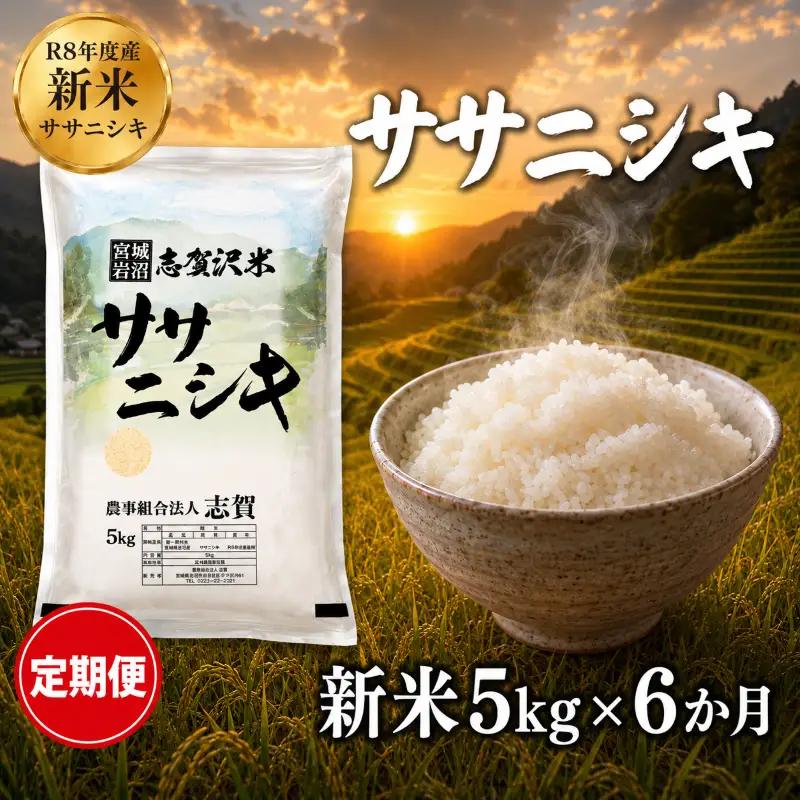 新米 定期便 6ヶ月 令和8年産 ササニシキ 5kg  精米