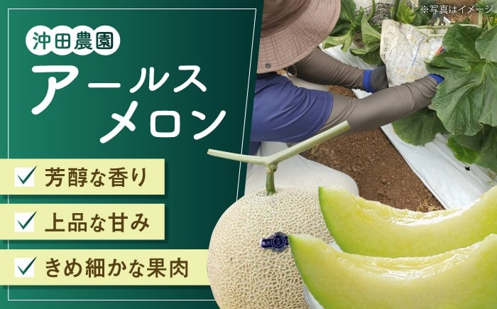 果物 フルーツ 青肉 メロン めろん 長崎 雲仙 甘い お取り寄せ 贈答