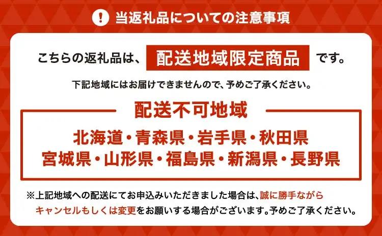定期便 胡蝶蘭 熊本県産 ミディ 2本立ち×6回  【定期便6回】ミディ胡蝶蘭〈KouBou・華あかり〉 2本立ち