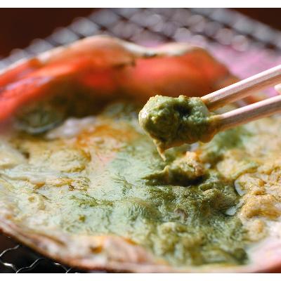 ふるさと納税 鯖江市 【11月6日漁解禁】福井冬の味覚!越前がに 1杯 (800〜900g) |  | 02