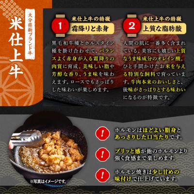 ふるさと納税 宇佐市 豊後米仕上げ牛牛ホルモン炒め 200g×3【111100502】【かぐら】 |  | 01