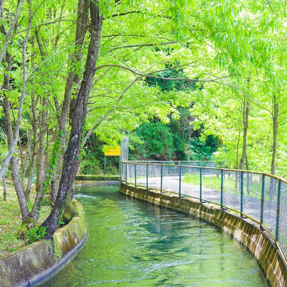 谷川流足圧～全身踏みほぐし～　90分コース　【HTR-101】_イメージ4