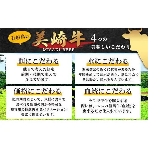 美崎牛ハンバーグ200g×6個　O-5