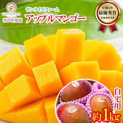 【ふるさと納税】【2025年発送】サンライズファームのマンゴー 約1kg ご自宅用 アーウィン 果物 甘い 夏 濃厚 ギフト Mango ランキング 完熟 お気に入り 収穫 人気 甘味 フルーツ 沖縄県 国産 食品 デザート 産地直送 送料無料
