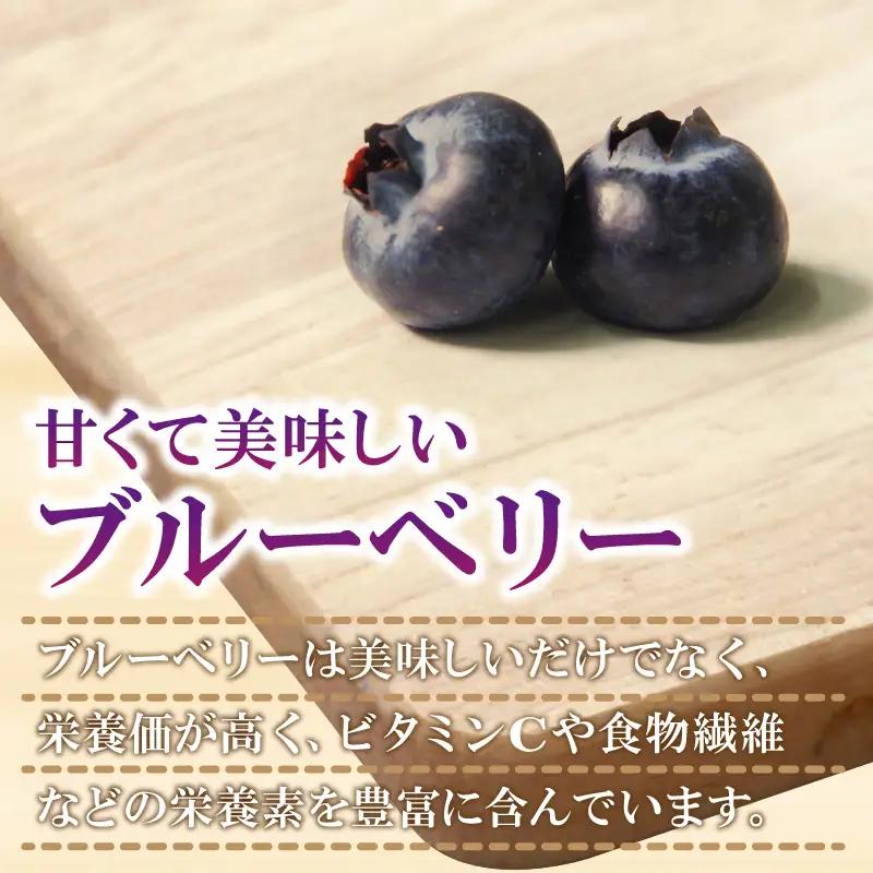 訳あり ブルーベリー 冷凍 2kg 大粒 冷凍ブルーベリー フルーツ 果物 徳島 小松島