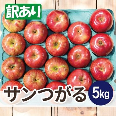 先行受付 青森 りんご 8～9月発送 訳あり サンつがる 約5kg 平均糖度12度以上! クール便 【配送不可地域：離島・沖縄県】