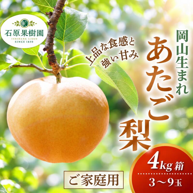 【ふるさと納税】 梨 家庭用 あたご梨 4kg箱 青秀 3～9玉 岡山県産 | あたご梨 愛宕梨 ご家庭用 ご自宅用 果物 くだもの フルーツ 和梨 岡山県 真庭市