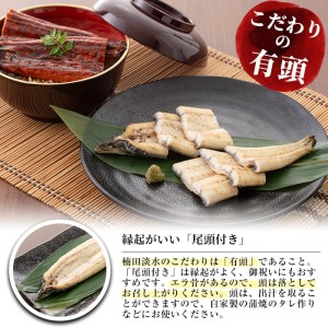 楠田の極うなぎ 蒲焼き2尾・白焼き2尾 200g以上×4尾(計800g以上) c6-071