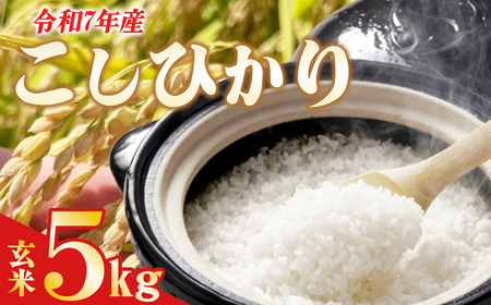 米 こしひかり 令和7年産 コシヒカリ 玄米 5kg