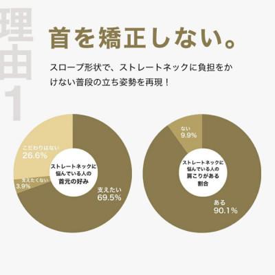 ふるさと納税 我孫子市 ストレートネックに悩む人向け枕 THE PILLOW Preset 03 Straight Neck |  | 01