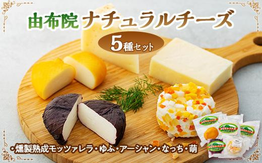 
～由布院チーズ工房からのお届け～贅沢ナチュラルチーズ5種詰め合わせ！
