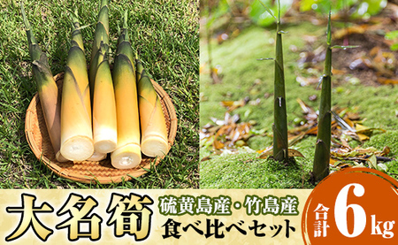 msm-069 《先行予約受付中！2027年5月初旬以降順次発送予定》大名筍3kg（硫黄島産）＆大名筍3kg（竹島産）の食べ比べセット【いおう・NPO法人みしまですよ】三島村 筍 たけのこ タケノコ 皮付き 産地直送 採れたて 野菜 旬 新鮮 煮物 味噌汁 炊き込みご飯