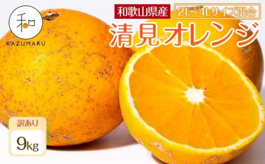 訳あり 森本農園の手選別 大玉清見オレンジ 約9kg 和歌山県産 2L~4Lサイズ混合 ［北海道・沖縄・離島配送不可］［2026年2月上旬から5月中旬頃順次発送予定］［RN104］
