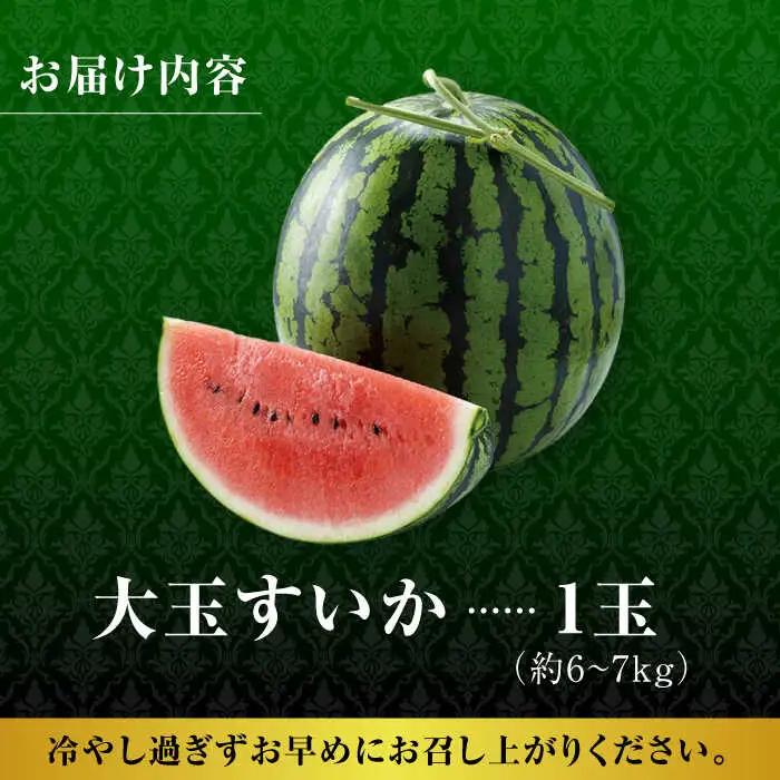 熊本スイカ先行予約 大玉すいかLサイズ西瓜スイカZCM001