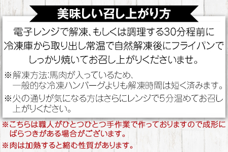 手作りハン馬ーグ 100g×10個 馬肉100%配合！【熊本肥育】ハンバーグ たっぷり 冷凍 お中元 肉 お手軽 お取り寄せ《30日以内に出荷予定(土日祝除く)》｜人気ハンバーグ 大人気返礼品 ブラン