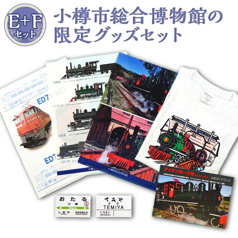 【ふるさと納税】【E+Fセット】アイアンホース号 Tシャツ ガイドブック クリアファイル セット（100～160cmサイズ）