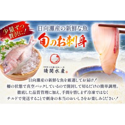 ふるさと納税 日向市 刺身 柵 ブリ 真鯛 少量贅沢 食べ比べセット(日向市) |  | 02