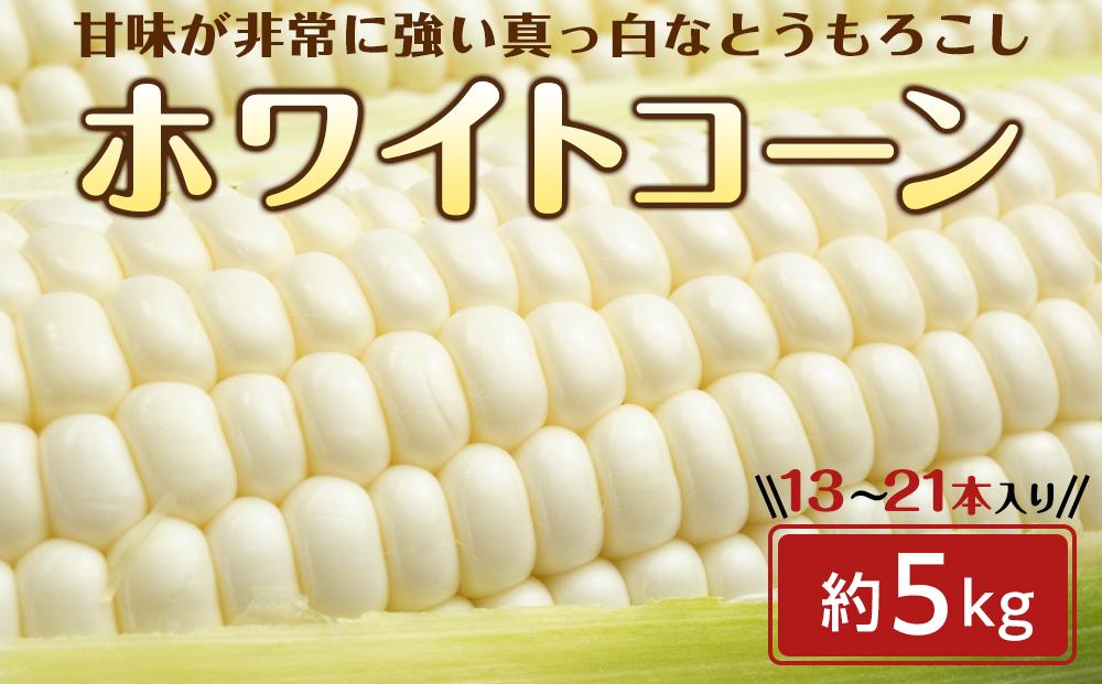 ★受付停止23.6.6★ホワイトコーン　約5ｋｇ