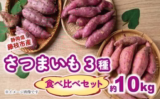 【2025年11月～順次発送予定】 さつまいも 3種 食べ比べセット 約10kg 紅はるか シルクスイート 安納芋 芋 期間限定 サツマイモ 化学肥料 農薬 不使用 焼き芋 旬 季節限定 期間限定 静岡県 藤枝市