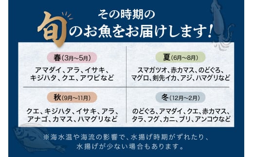 【定期便】どんちっち浜田【極上】の鮮魚 15回～最高級この男シリーズ～ 【2040】