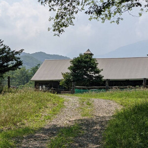 香林農園ナチュラルチーズ　牛セミハードチーズ　北海道　日高山脈の麓のチーズ農家【配送不可地域：離島】【1212313】