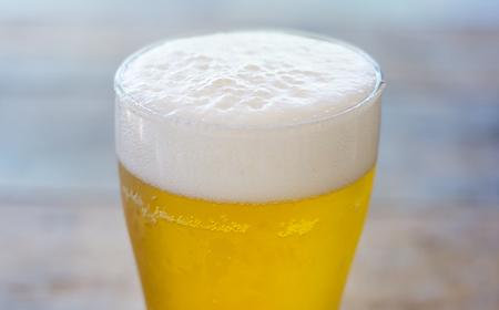 【ふるなびWEEK対象】丹波路ブルワリー　クラフトビール　12本詰め合わせセット BN004 呑み比べ 詰め合わせ 飲み比べ 国産ビール ご当地ビール ビールセット 地ビール 高級 おしゃれ ビール好