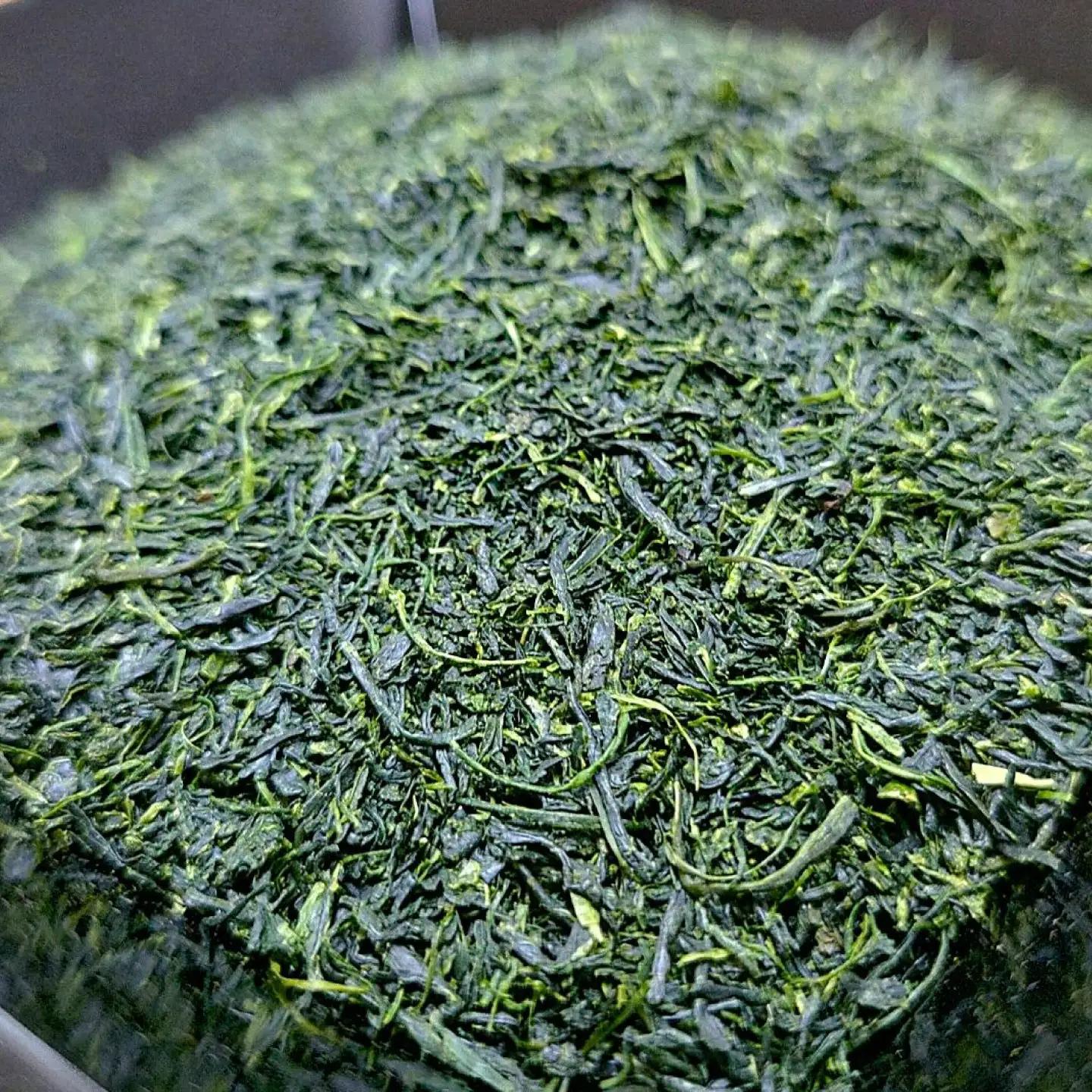うれしの茶 飲み比べ4本セット/有限会社原製茶園[UEJ004] 緑茶
