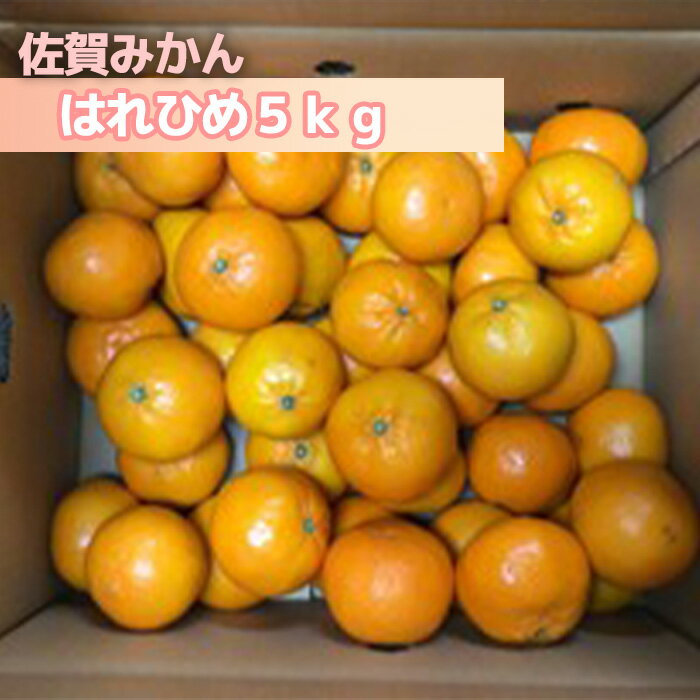 【ふるさと納税】はれひめ5kg（DV140）