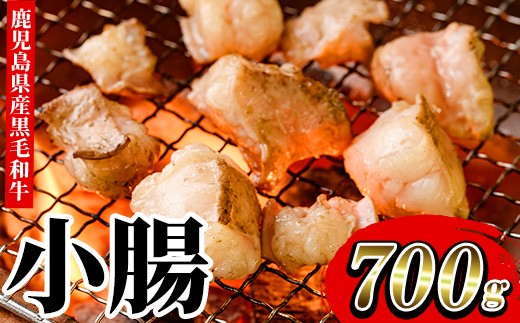 
                  鹿児島県産 黒毛和牛 小腸 ホルモン 700g　国産 鹿児島県産 黒毛和牛 小腸 モツ 生ホルモン 焼肉 もつ鍋【00-030-08】
                