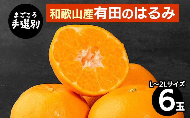 
            【まごころ手選別】和歌山産　有田のはるみ(L～2Lサイズ) 6玉 1箱 ※2026年1月中旬～2月下旬頃に順次発送予定
          